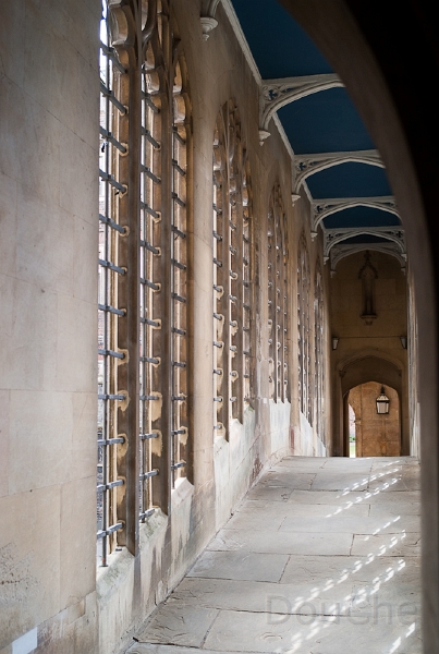 Ed -L1006773.jpg